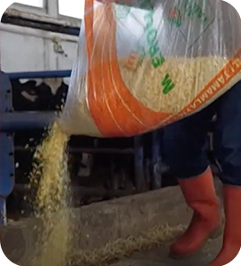 Tamamlayıcı Ürünler